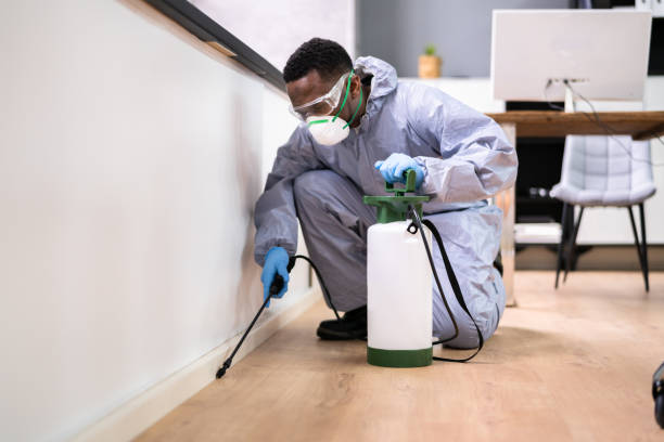 Best Residential Pest Control  in Monrovia, CA